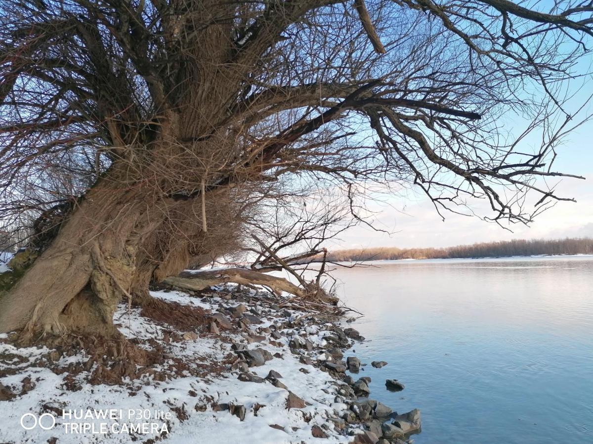 Captain'S House By The Danube River Cerevic Extérieur photo